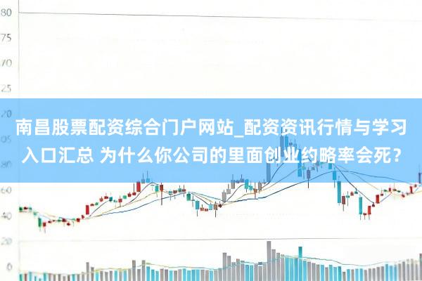 南昌股票配资综合门户网站_配资资讯行情与学习入口汇总 为什么你公司的里面创业约略率会死？