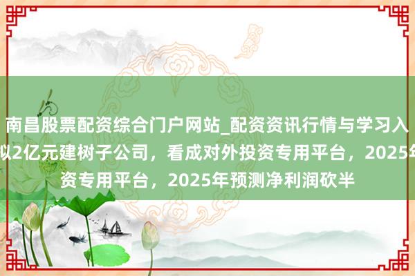南昌股票配资综合门户网站_配资资讯行情与学习入口汇总 盛视科技拟2亿元建树子公司，看成对外投资专用平台，2025年预测净利润砍半