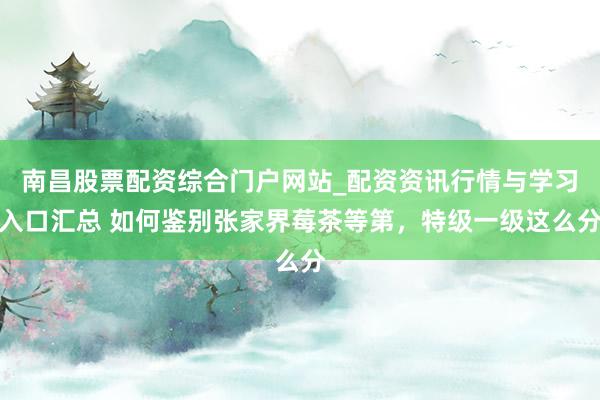 南昌股票配资综合门户网站_配资资讯行情与学习入口汇总 如何鉴别张家界莓茶等第，特级一级这么分
